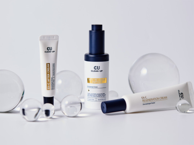 Dòng Tái Tạo – Phục Hồi